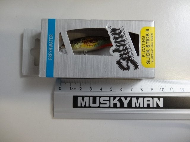 Kunstaas: Salmo Slick Stick 6 Floating pluggen, Verzenden, Nieuw, Overige typen