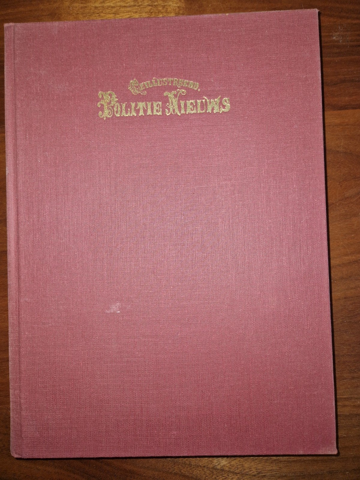 Politienieuws 1873-1883, Boeken, Ophalen of Verzenden