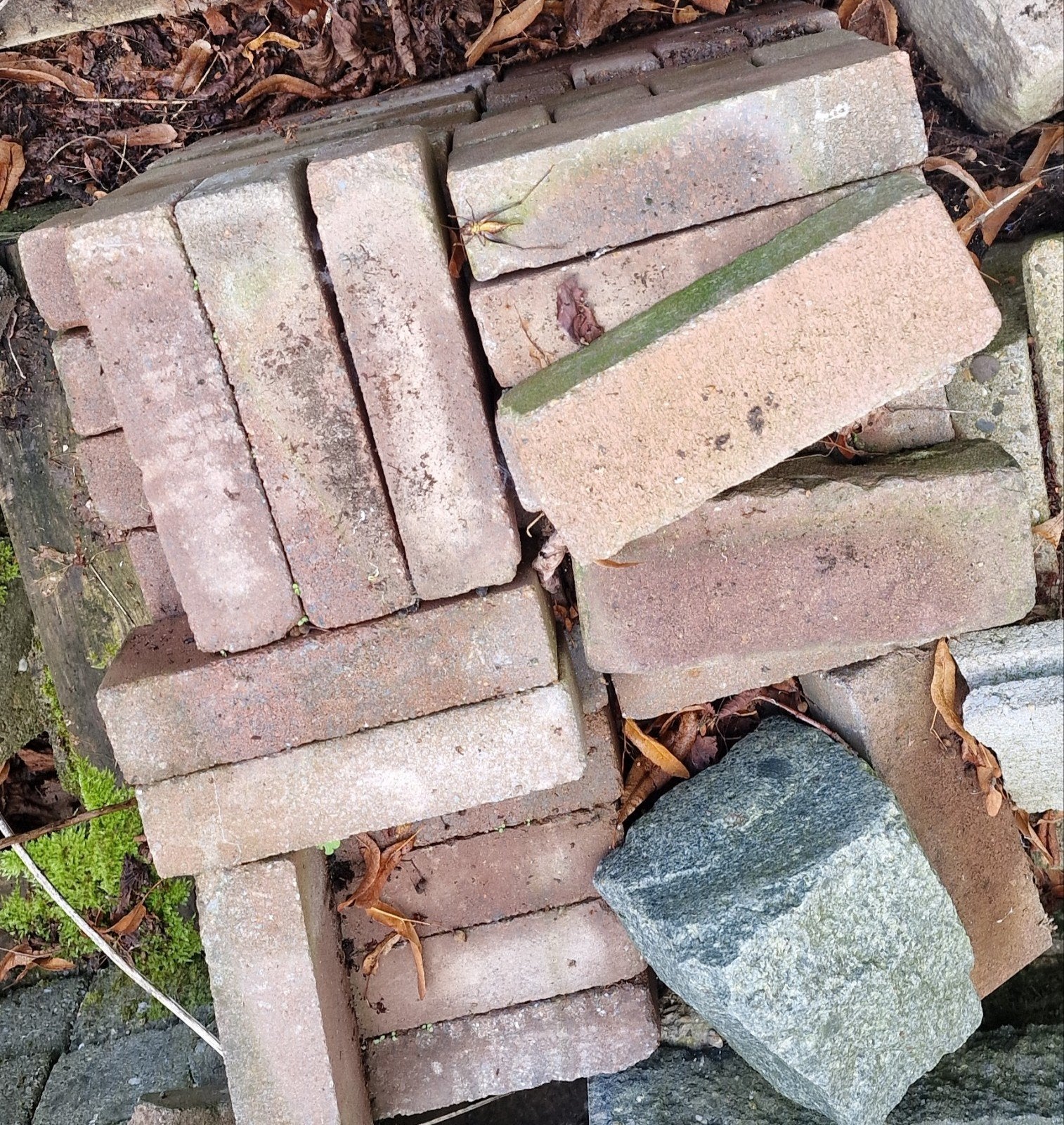 Rode waaltjes, Tuin en Terras, Ophalen, Overige materialen, Gebruikt, Klinkers