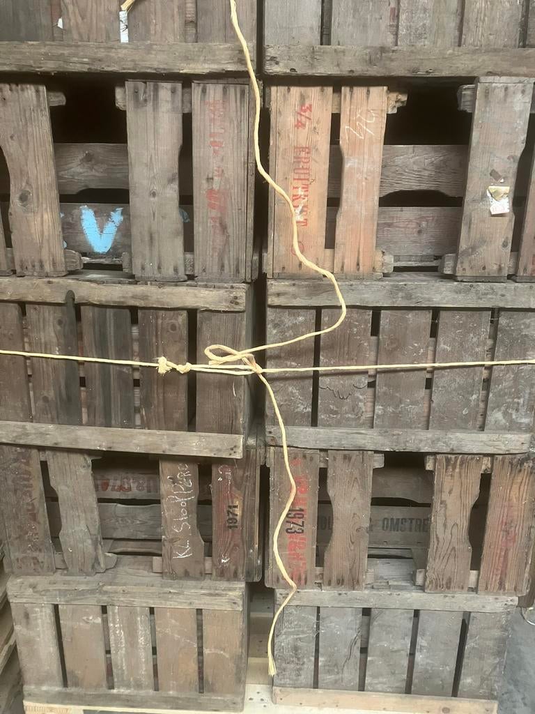 Fruitkisten, maat 3/4, Ophalen, Minder dan 50 cm, Gebruikt, 50 tot 100 cm