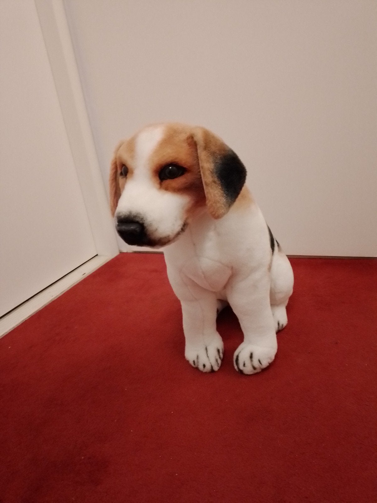 Leuke grote knuffel hond (50 cm hoog), Ophalen, Zo goed als nieuw, Hond