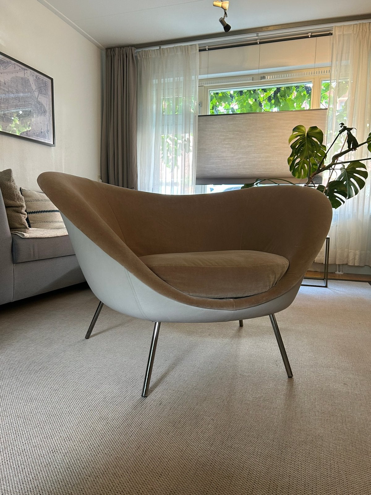 Zeer mooie D.154.2 fauteuil architect Gio Ponti, Molteni&C, Leer, 75 tot 100 cm, Ophalen of Verzenden, 100 tot 125 cm