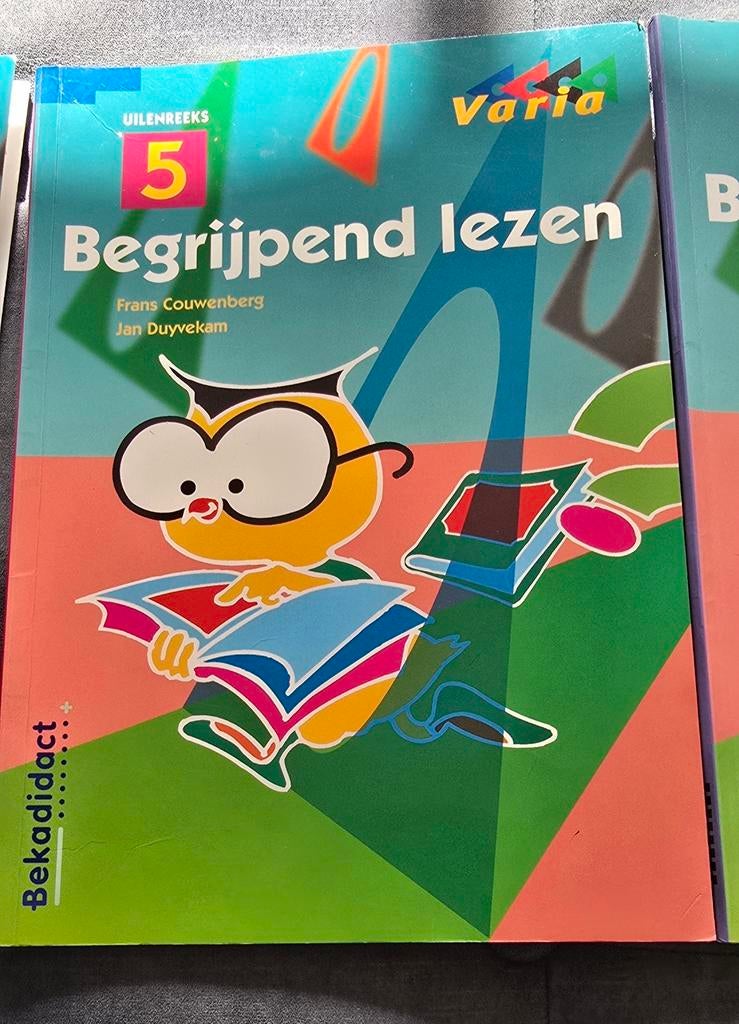 5 Groep 7/8, Ophalen of Verzenden, Zo goed als nieuw, Overige niveaus, Nederlands