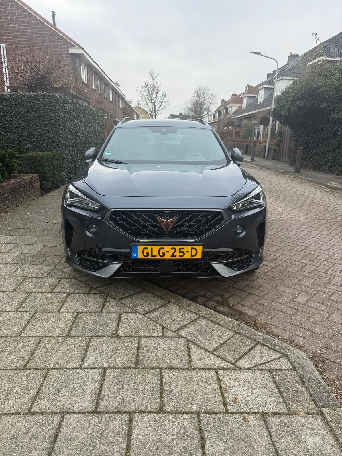Foto 3 van Cupra Formentor 1.4 E-hybrid 245pk Dsg-6 2021 Grijs /360/mem
