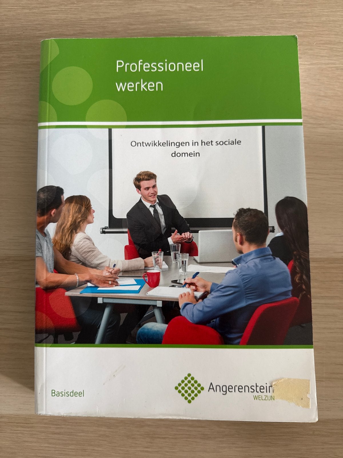 Professioneel werken: Ontwikkelingen in het sociale domein, Ophalen of Verzenden, Gamma, Zo goed als nieuw, MBO