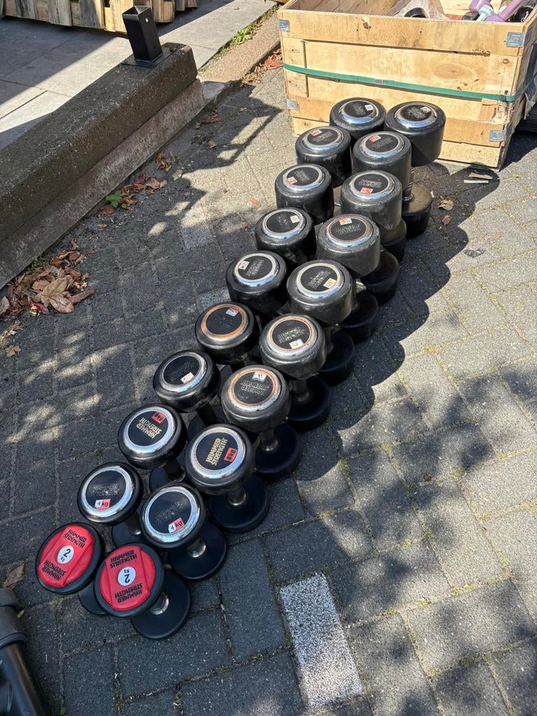Hammer strength rubberen dumbbells 2-20 kg gewichten, Sport en Fitness, Fitnessmaterialen, Ophalen, Dumbbell, Gebruikt, Dumbbells