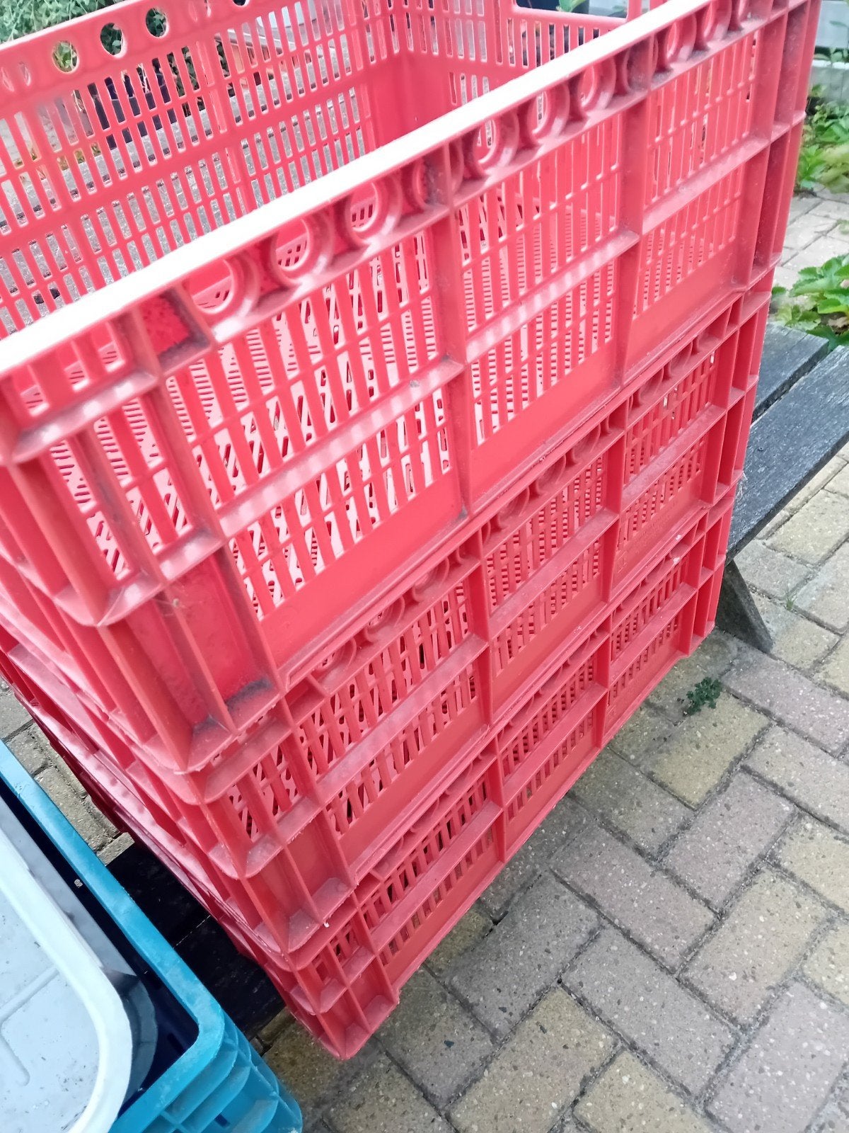 5 grote kunststof kratten (4 rood, 1 blauw), Ophalen, Gebruikt, Minder dan 35 cm, Krat