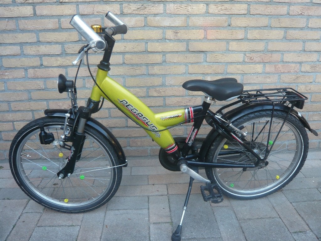 Tk mooie pegassus youngster 20inch, Ophalen, 20 inch of meer