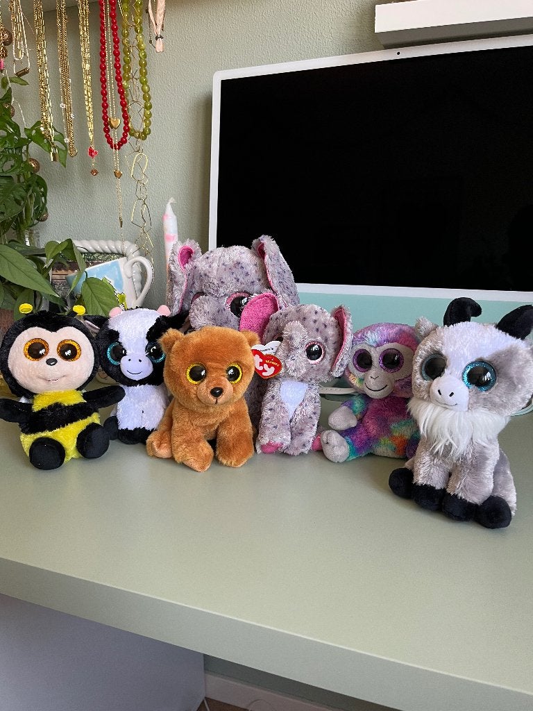 Ty knuffel set, Overige typen, Ophalen of Verzenden, Zo goed als nieuw, Meerkleurig