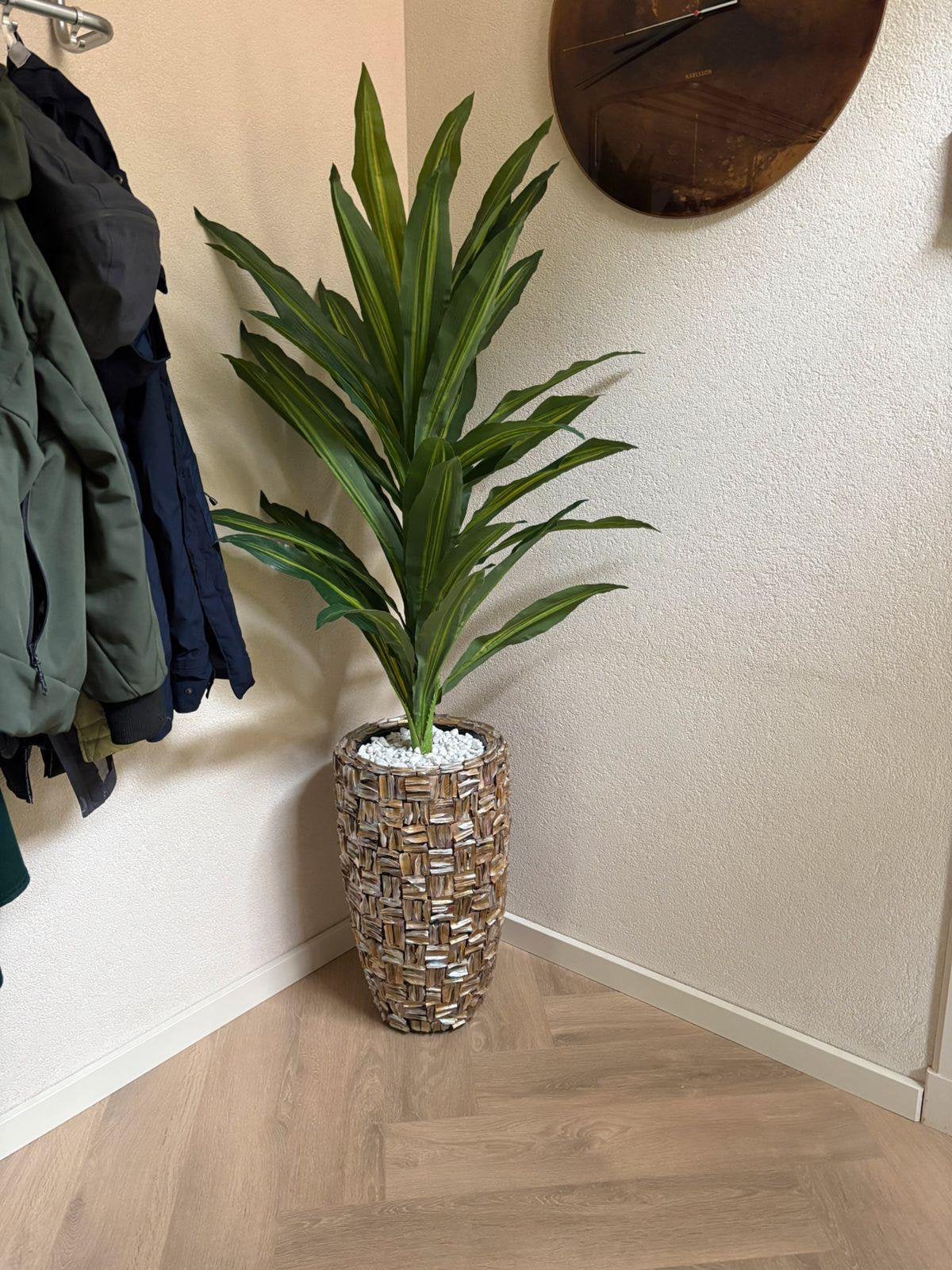 Prachtig schelpenvazen, Ophalen of Verzenden, Beige, Hout