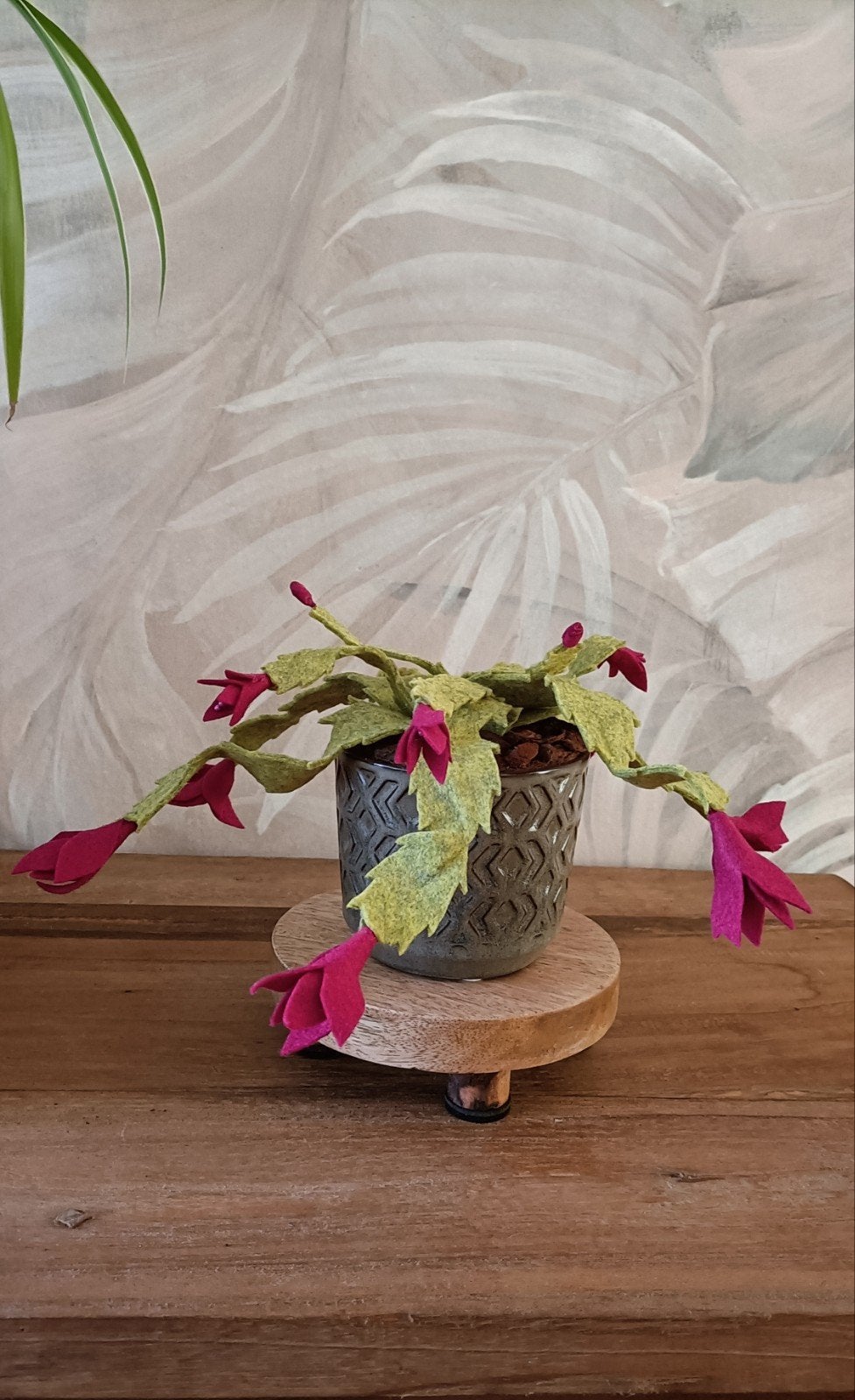 Handgemaakte lid cactus van vilt., Huis en Inrichting, Kamerplanten, Ophalen of Verzenden, Cactus, Volle zon, Minder dan 100 cm