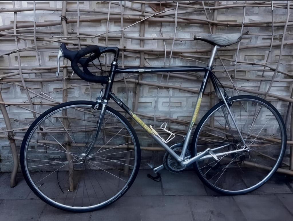 RACEFIETS | 55'' - 57'' | 14 versnellingen & z.g.a.n, Gebruikt, 53 tot 57 cm, Ophalen, Overige merken