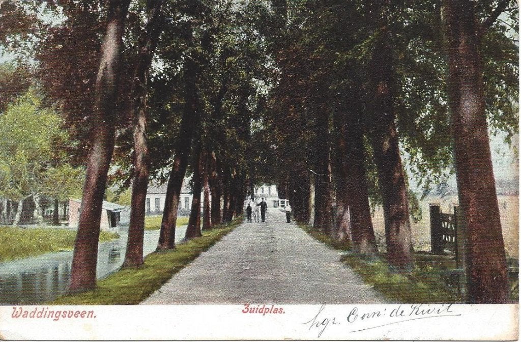 Waddinxveen (Z.H.) Zuidplas, Volk, gelopen 1908, Ophalen of Verzenden, Voor 1920, Gelopen, Zuid-Holland