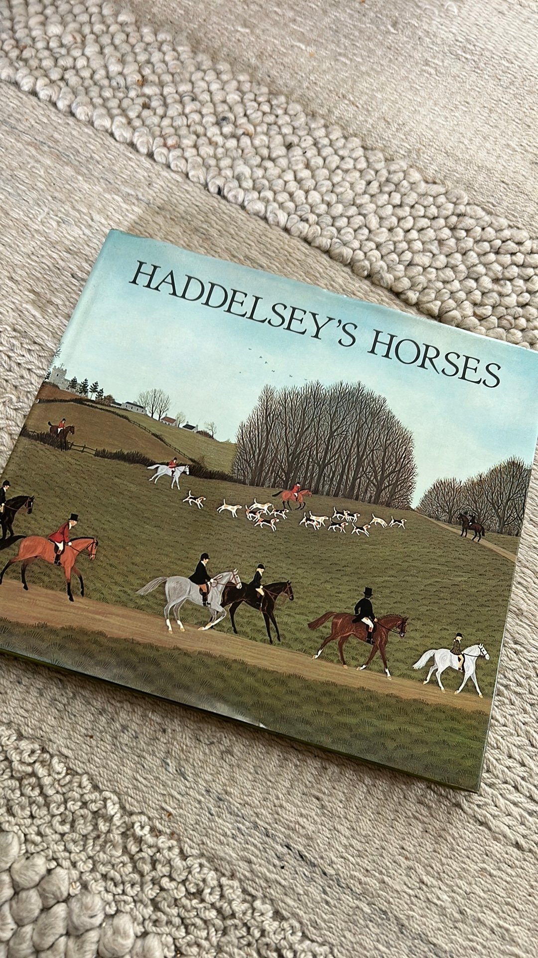 Haddelsey’s Horses naieve schilderijen Vincent Haddelsey, Boeken, Ophalen of Verzenden, Gelezen, Overige onderwerpen