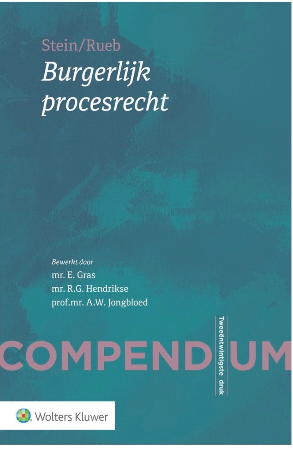Compendium Burgerlijk procesrecht 22e druk- Stein/Rueb, Boeken, Studieboeken en Cursussen, Ophalen of Verzenden, Gamma, Gelezen