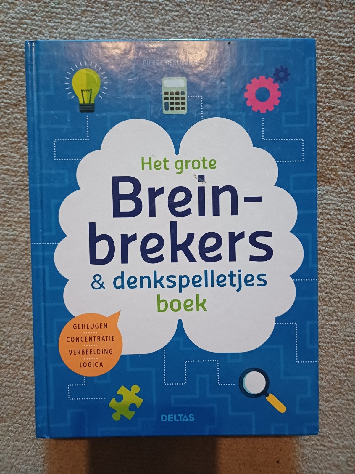 Het grote breinbrekers-en denkspelletjesboek, Ophalen of Verzenden, Zo goed als nieuw, Pierre Berloquin
