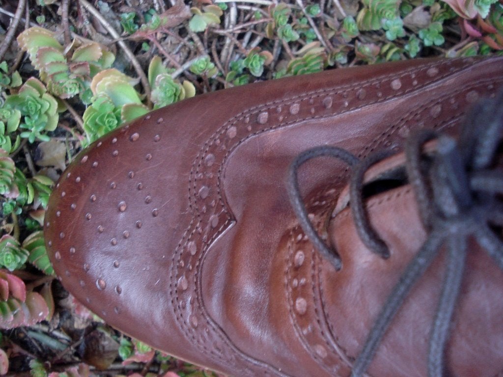 RIVER WOODS 😎GLADLEREN brogues maat 43, Bruin, Verzenden, Zo goed als nieuw, River Woods