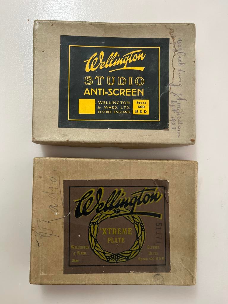 Vintage Wellington Studio glasnegatieven (1922/1923), Verzamelen, Foto's en Prenten, Ophalen of Verzenden, Voor 1940, Gebruikt