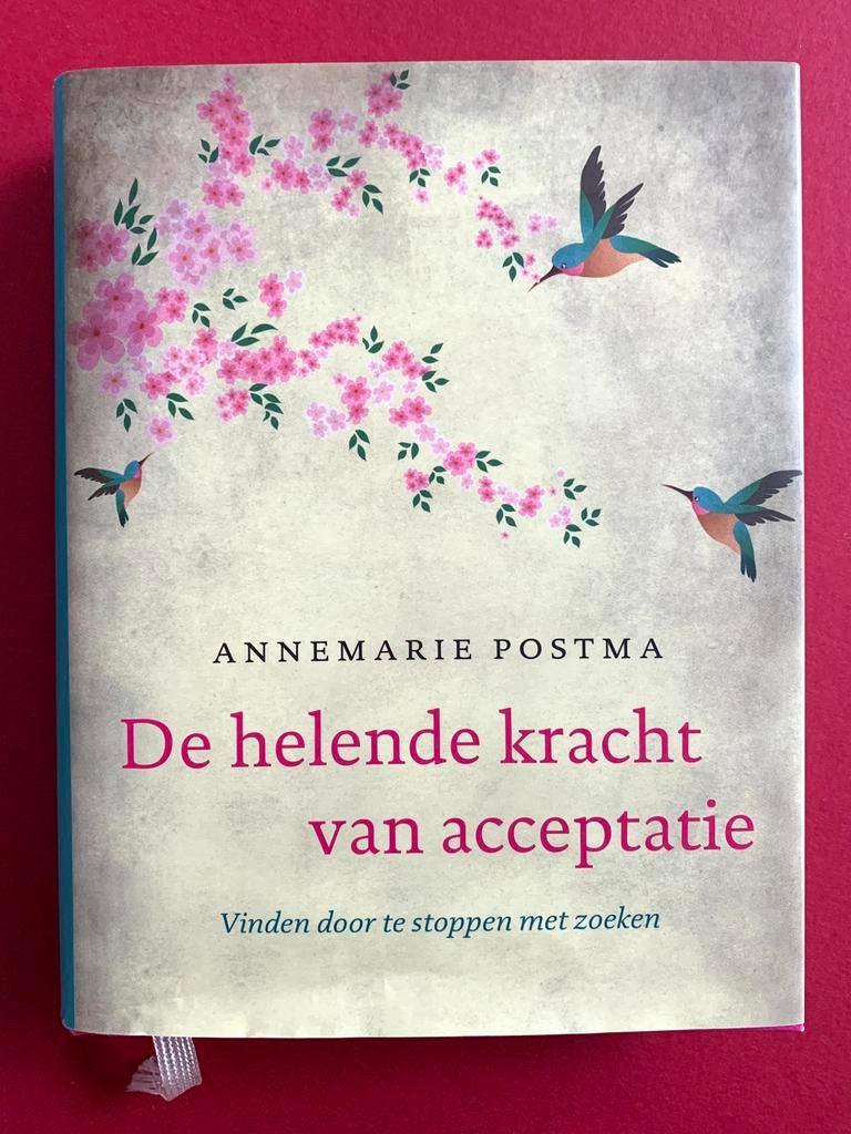 Annemarie Postma - De helende kracht van acceptatie, Spiritualiteit algemeen, Nieuw, Ophalen of Verzenden, Achtergrond en Informatie