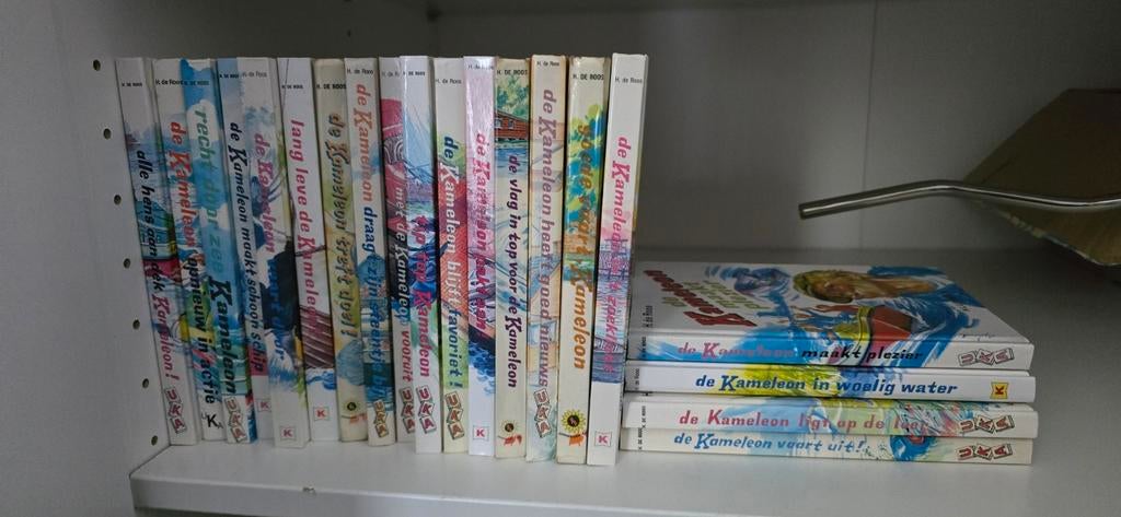 Kameleon boeken serie, Ophalen of Verzenden, Gelezen, Hotze de Roos, Fictie algemeen