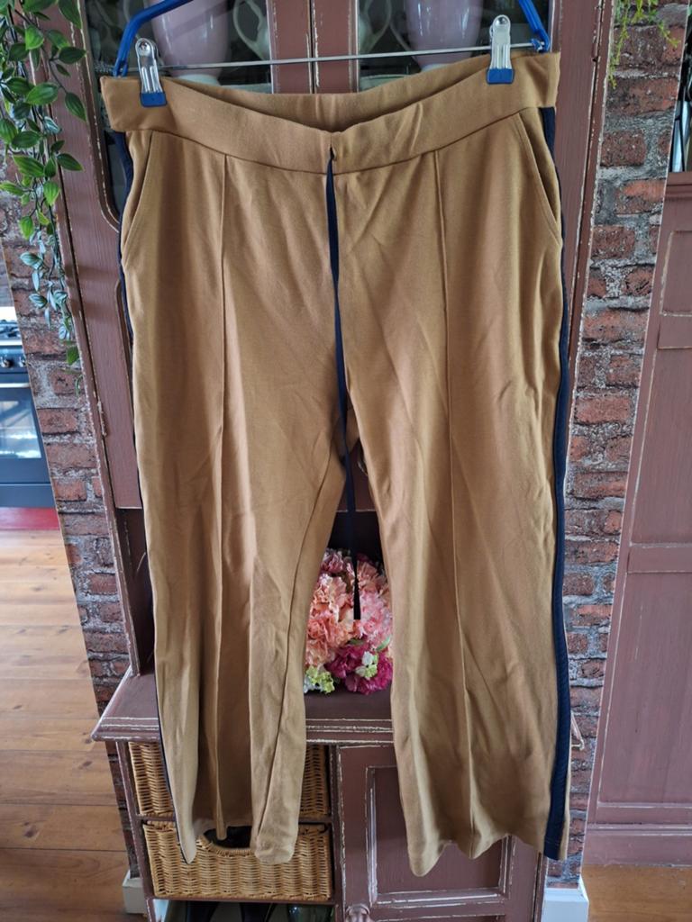 Studio anneloes broek l xl, Beige, Maat 46/48 (XL) of groter, Ophalen of Verzenden, Lang