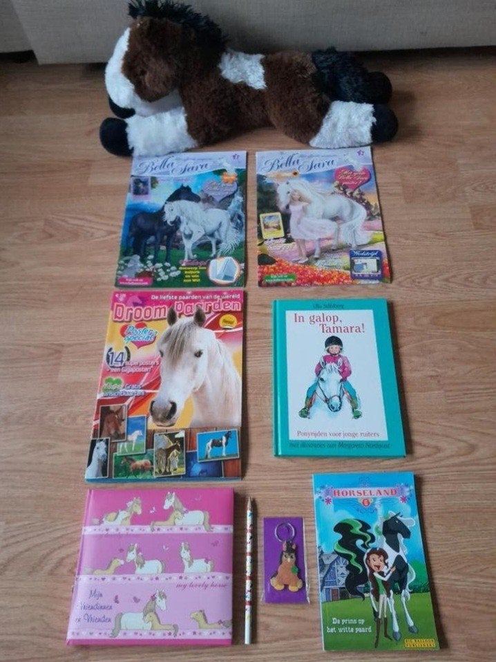 Paardenspulletjes knuffel paard boek vriendenboekje enz, Ophalen of Verzenden, Zo goed als nieuw