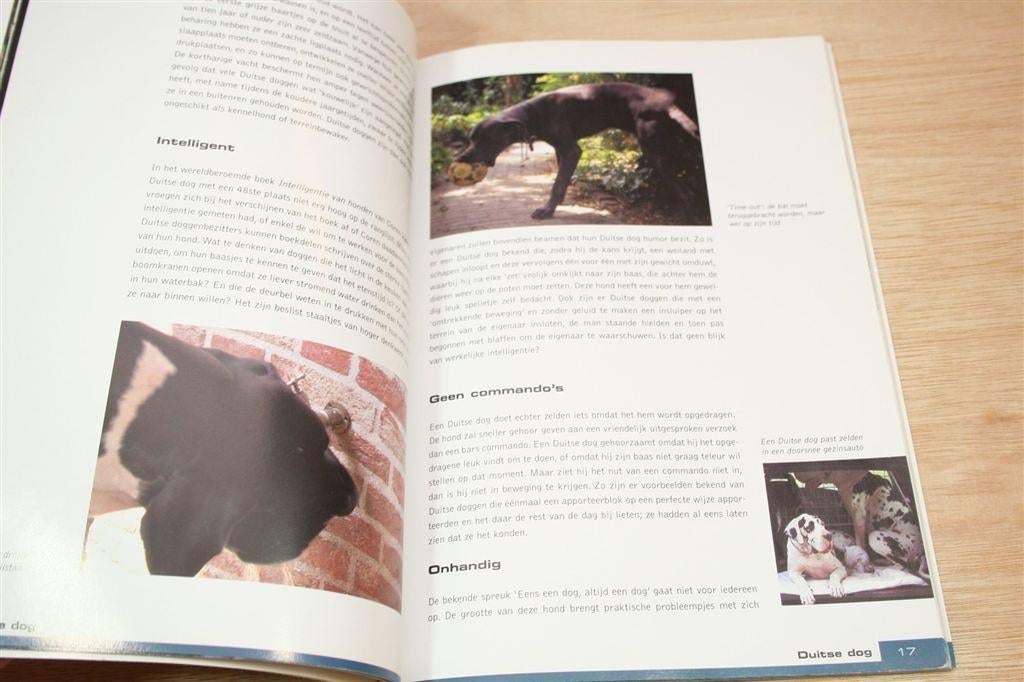 Duitse Dog — Basisgids Dierenverzorging — Verhoef, Ophalen of Verzenden, Gelezen, Honden