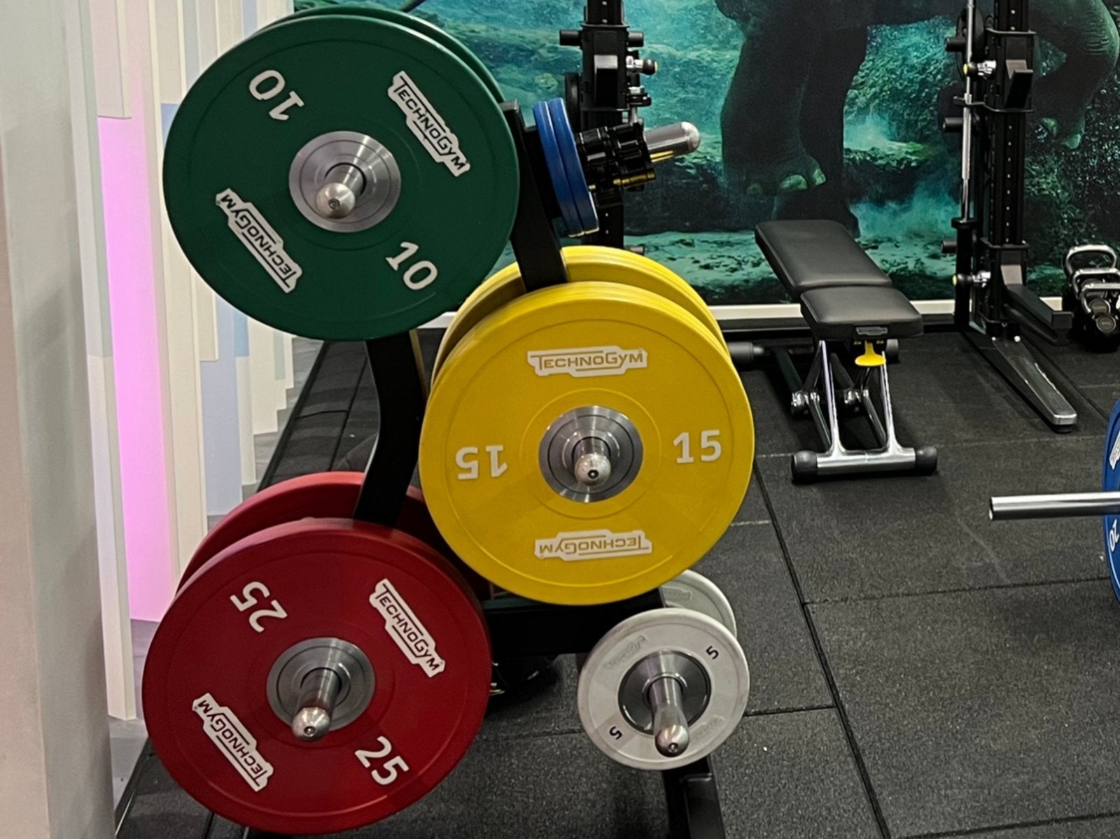 Technogym Olympic training plates 120 kg, Ophalen of Verzenden, Zo goed als nieuw, Benen, Halterschijven