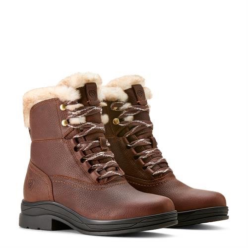 ZGAN super gave ariat schoenen. Maat 42, Dieren en Toebehoren, Ophalen of Verzenden, Zo goed als nieuw, Schoeisel
