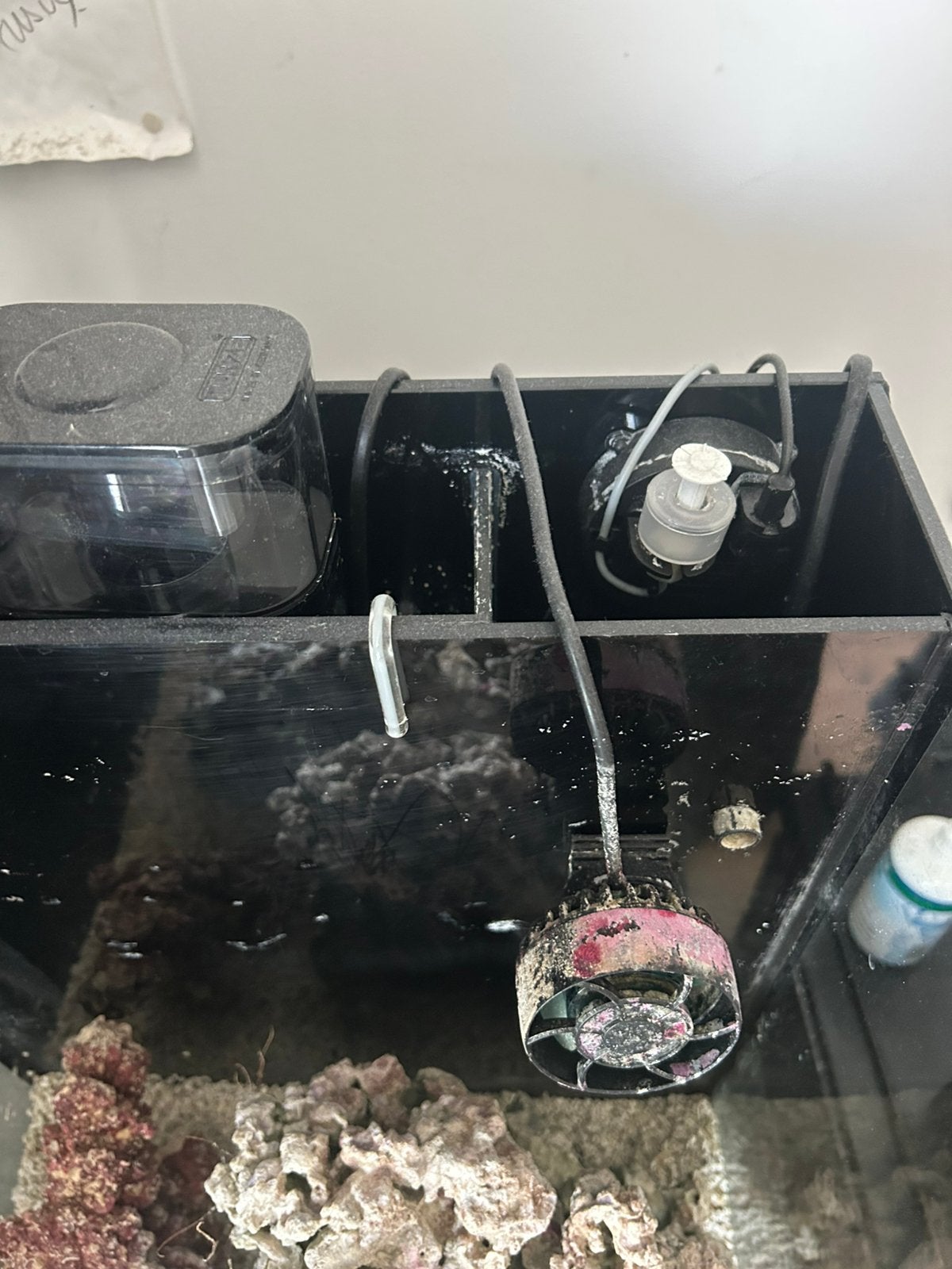 Startklaar 60L zoutwateraquarium, Dieren en Toebehoren, Ophalen, Zo goed als nieuw