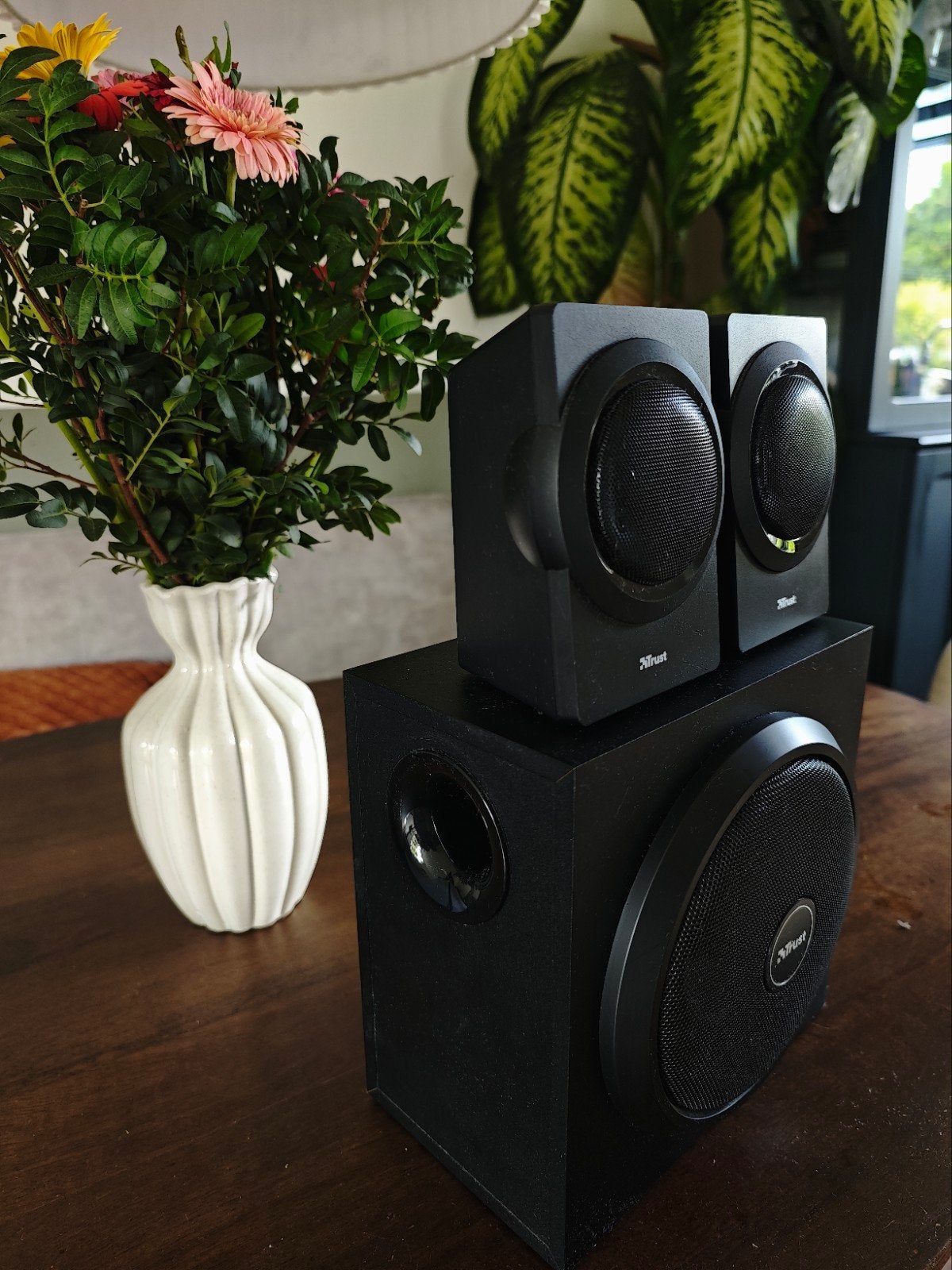 Trust speakers 3.1, Ophalen of Verzenden