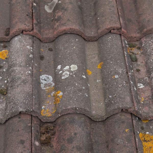 Gezocht: RKK Neroma Hoekstuk / Vorstenhoed Herfstkleur, Gebruikt, Steen of Klei, Ophalen of Verzenden, Minder dan 5 m²