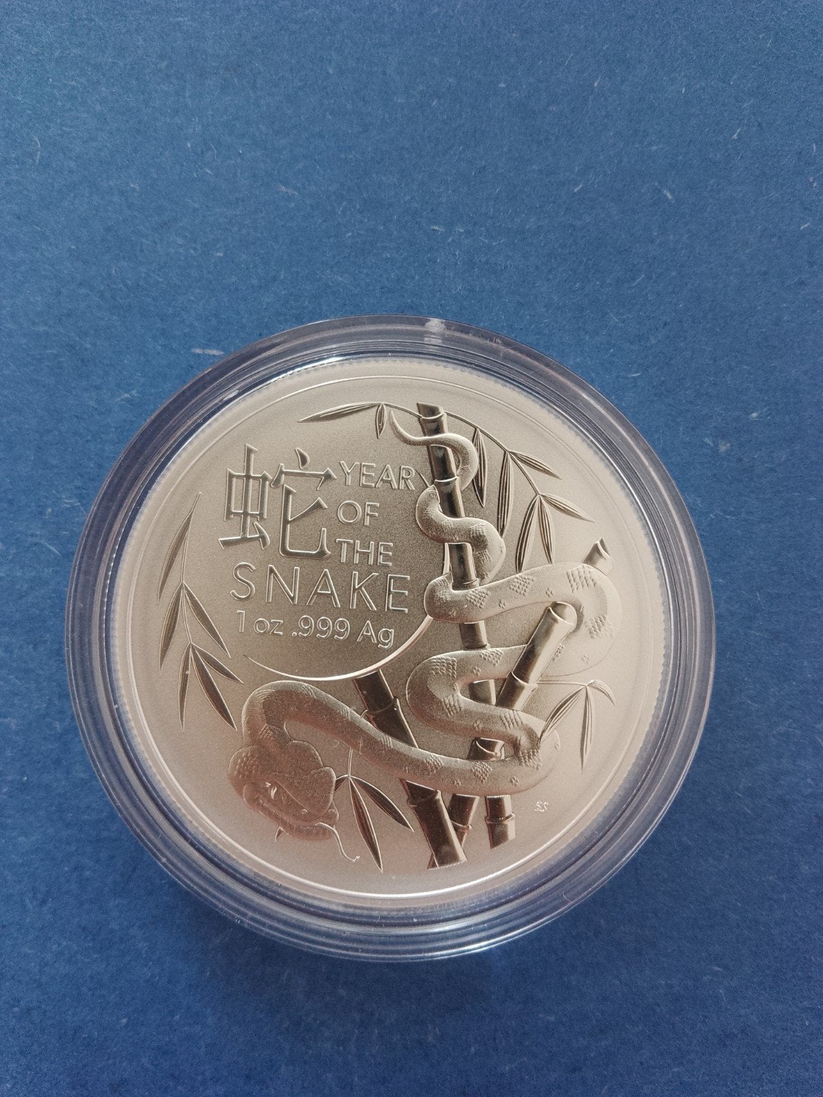 Year of the snake 2025 1 oz zilver, Ophalen of Verzenden, Zilver