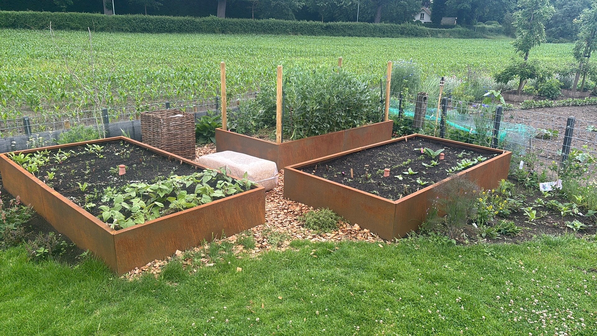 XXL Corten Staal moestuin / plantenbak 240x120x40cm nieuw, Tuin en Terras, 100 cm of meer, Nieuw, Ophalen of Verzenden, Metaal