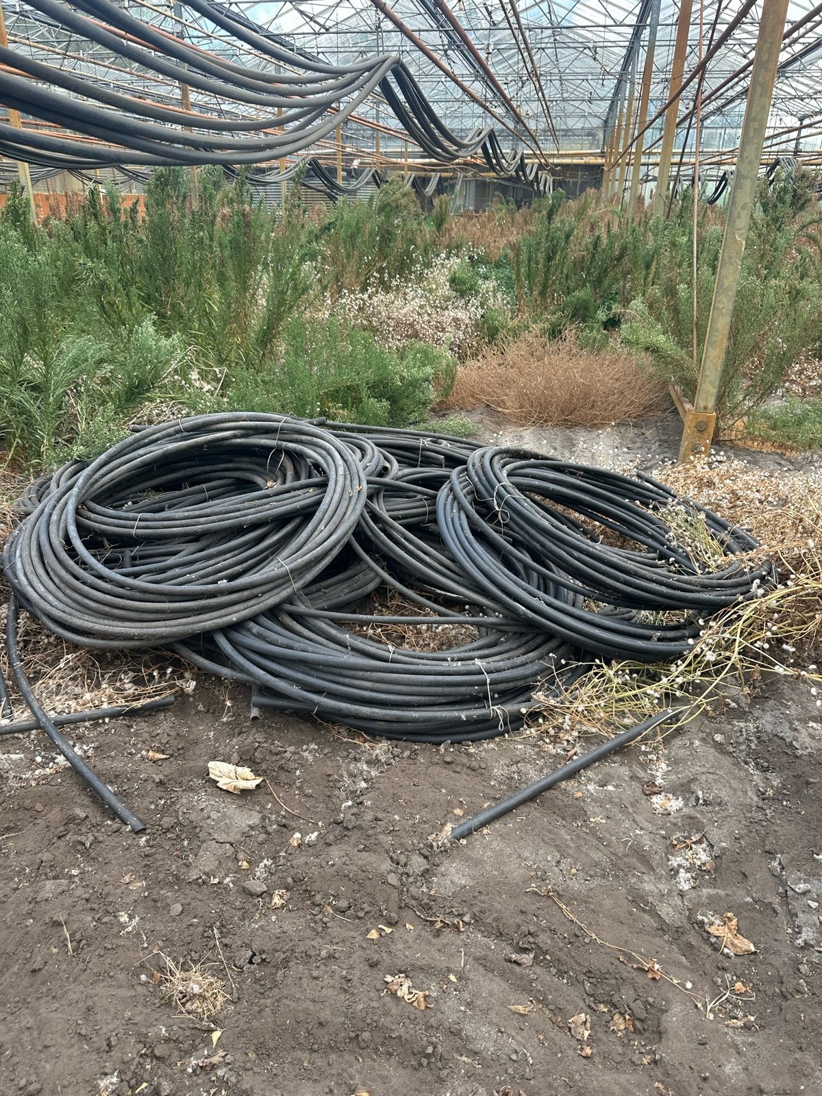 Diverse tyleen waterslangen in verschillende lengtes, Ophalen, Gebruikt, Overige typen