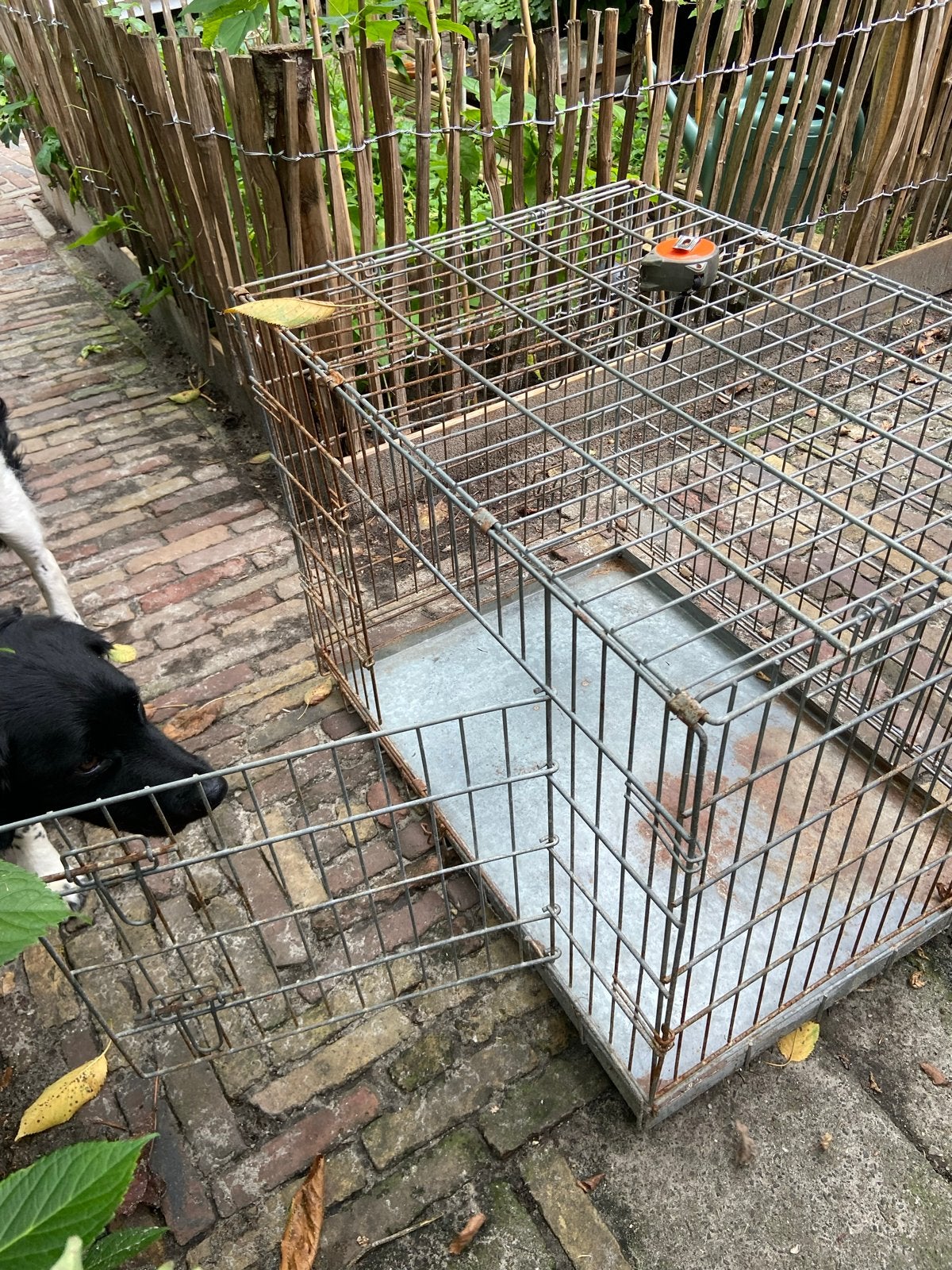2 hondenbenches, Dieren en Toebehoren, Hondenbenches, Ophalen, Gebruikt
