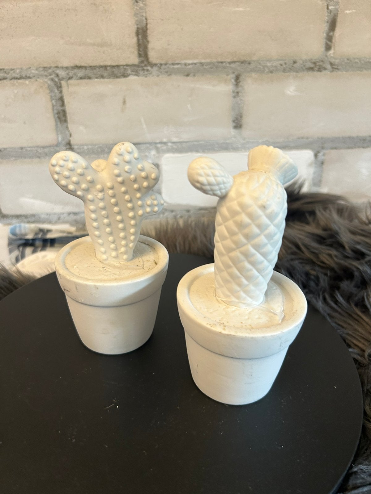 Witte stenen cactussen heel erg leuk, Ophalen of Verzenden