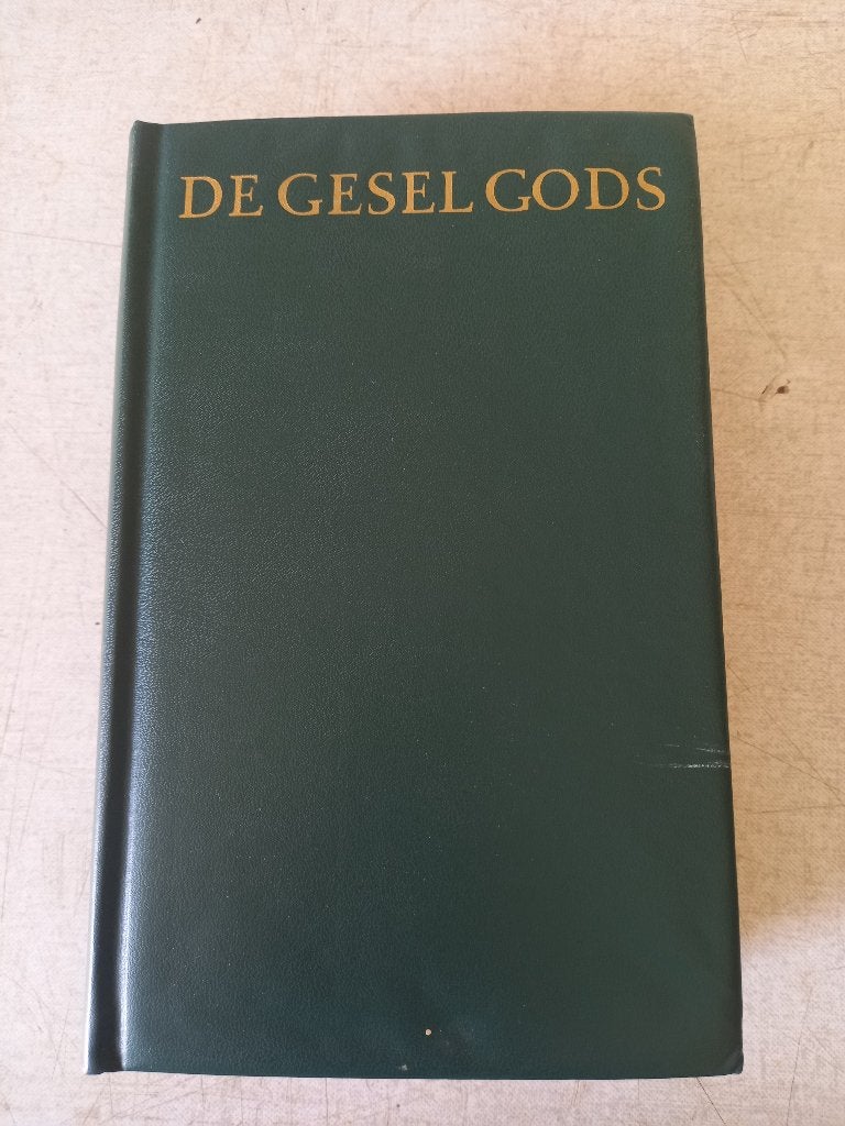 Boek: de gesel gods, Ophalen of Verzenden, Gelezen, Van tuyl, Christendom | Katholiek