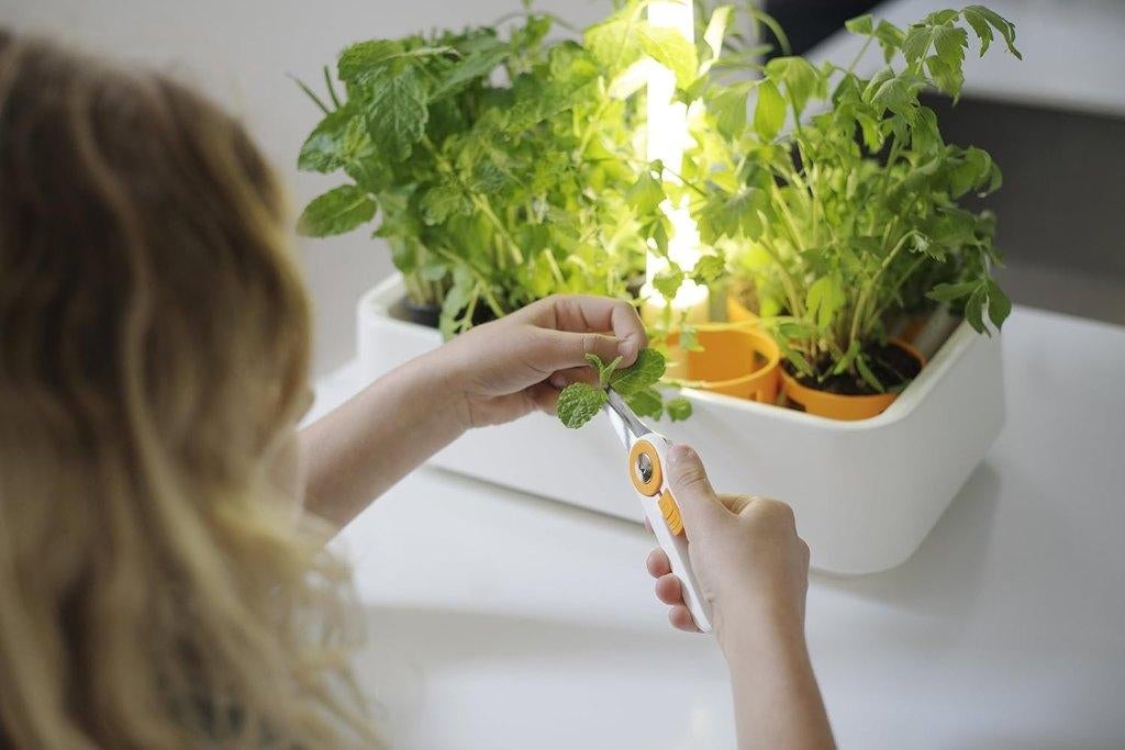 Nieuw | Fiskars Kruidentuin | kweekbak met LED verlichting, Ophalen, Nieuw, Kweekbak