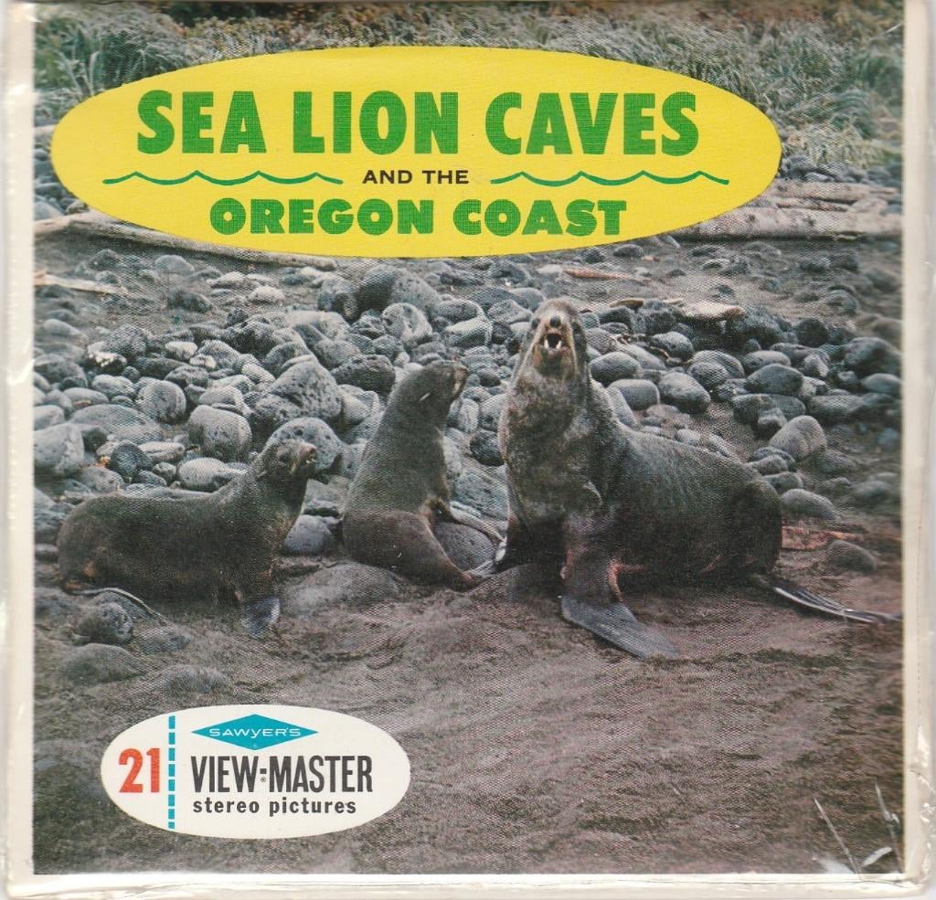 NIEUW view master SEA LION CAVES OREGON USA A247 viewmaster, Ophalen of Verzenden, Nieuw