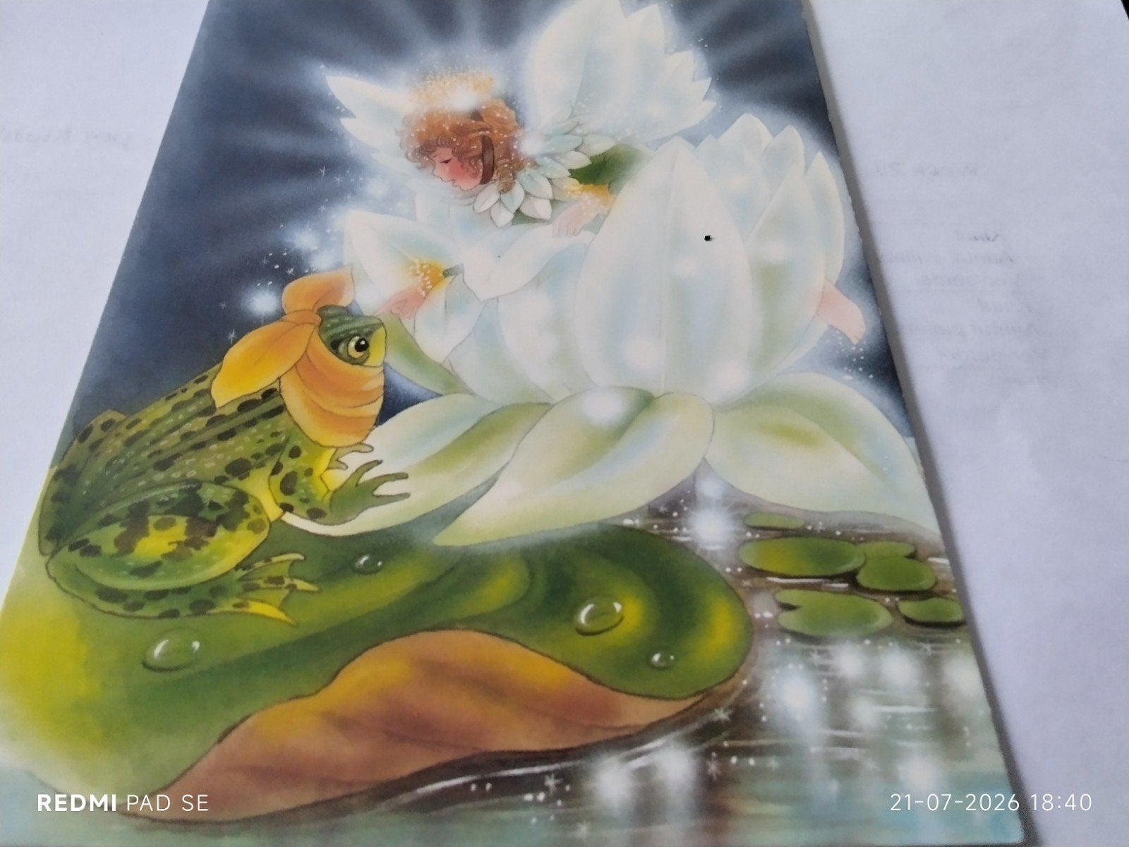 Ansichtkaart: Kikker en Elfje op Waterlelie - Christl Vogl, Ophalen of Verzenden, 1980 tot heden, Ongelopen