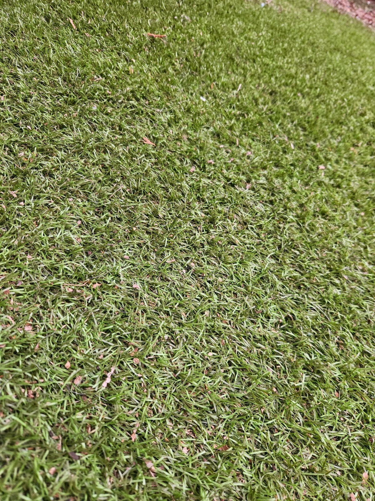 kunstgras goede kwaliteit 3,6 x 3 mtr, Tuin en Terras, Ophalen, Gebruikt, 10 tot 20 m², Kunstgras
