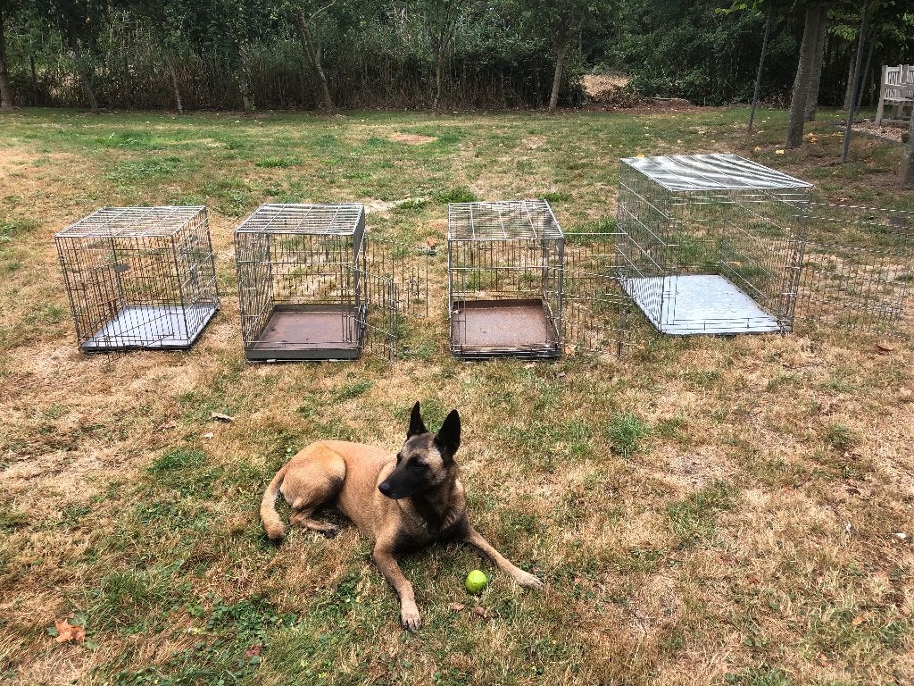 Opvouwbare hondenbench 3 stuks verschillende maten, Ophalen, Gebruikt