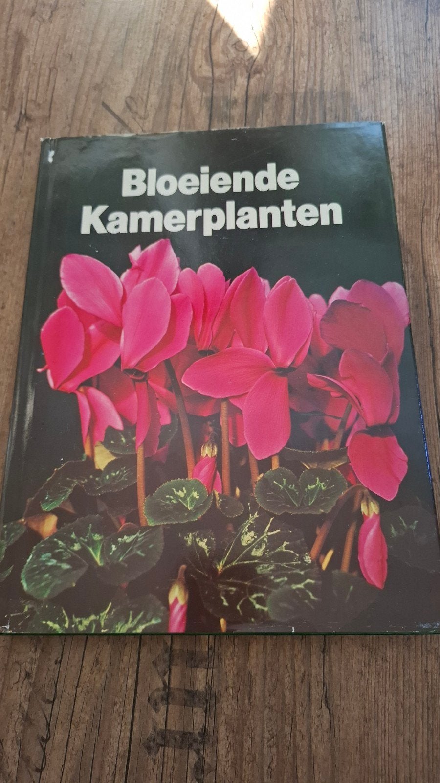 Bloeiende Kamerplanten - Boek over kamerplanten, Ophalen of Verzenden, Gelezen, Onbekend, Kamerplanten