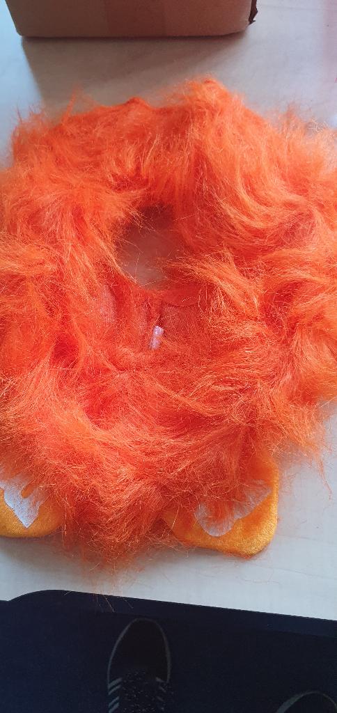 Oranje attributen of spullen, Ophalen of Verzenden, Nieuw, Oranje of Koningsdag