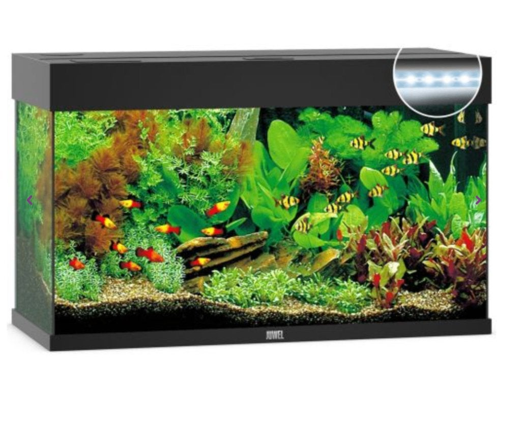 Gratis Juwel Rio 125 LED Aquarium, Dieren en Toebehoren, Gebruikt, Leeg aquarium, Juwel, Ophalen