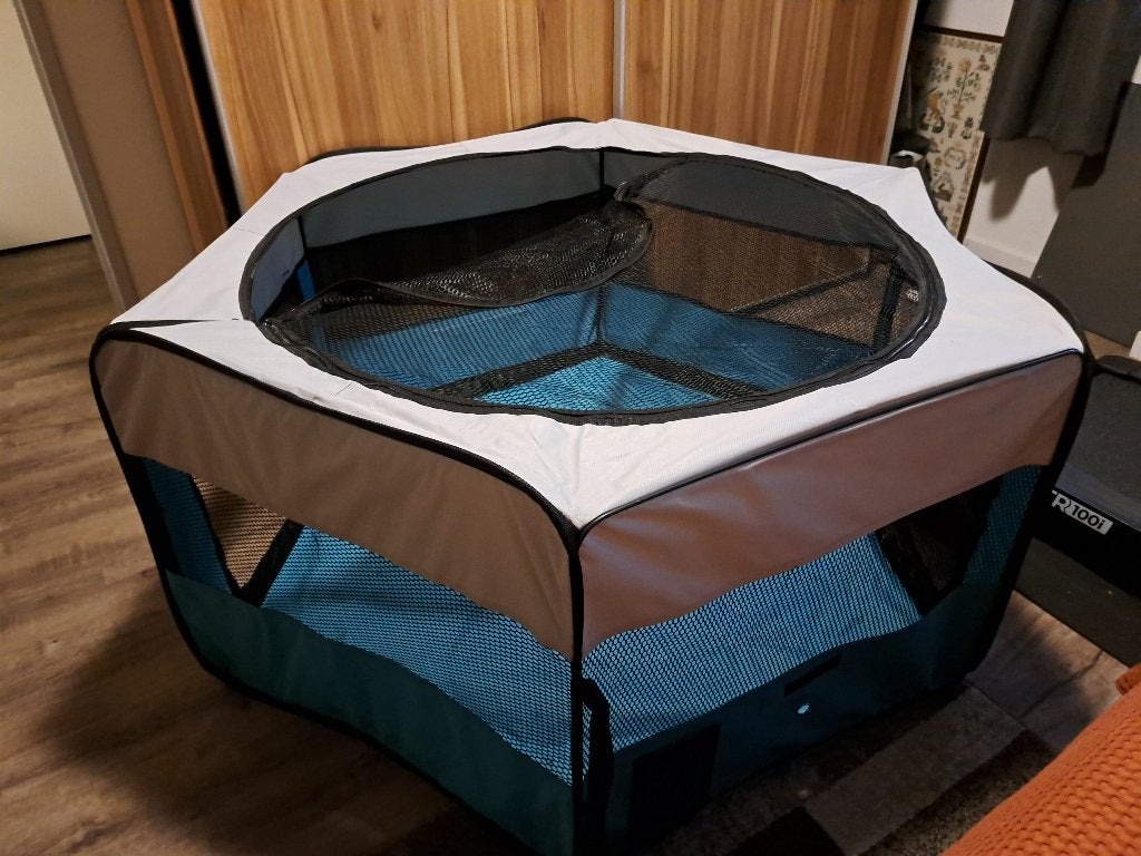 Nylon puppyren, Dieren en Toebehoren, Ophalen, Nieuw