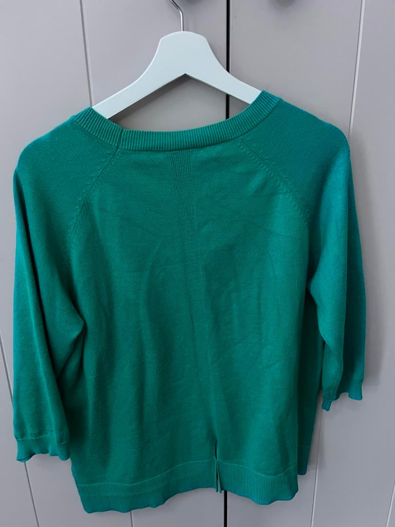 Leuke groene trui van Poools maat 42, Verzenden, Zo goed als nieuw, Maat 42/44 (L), Groen