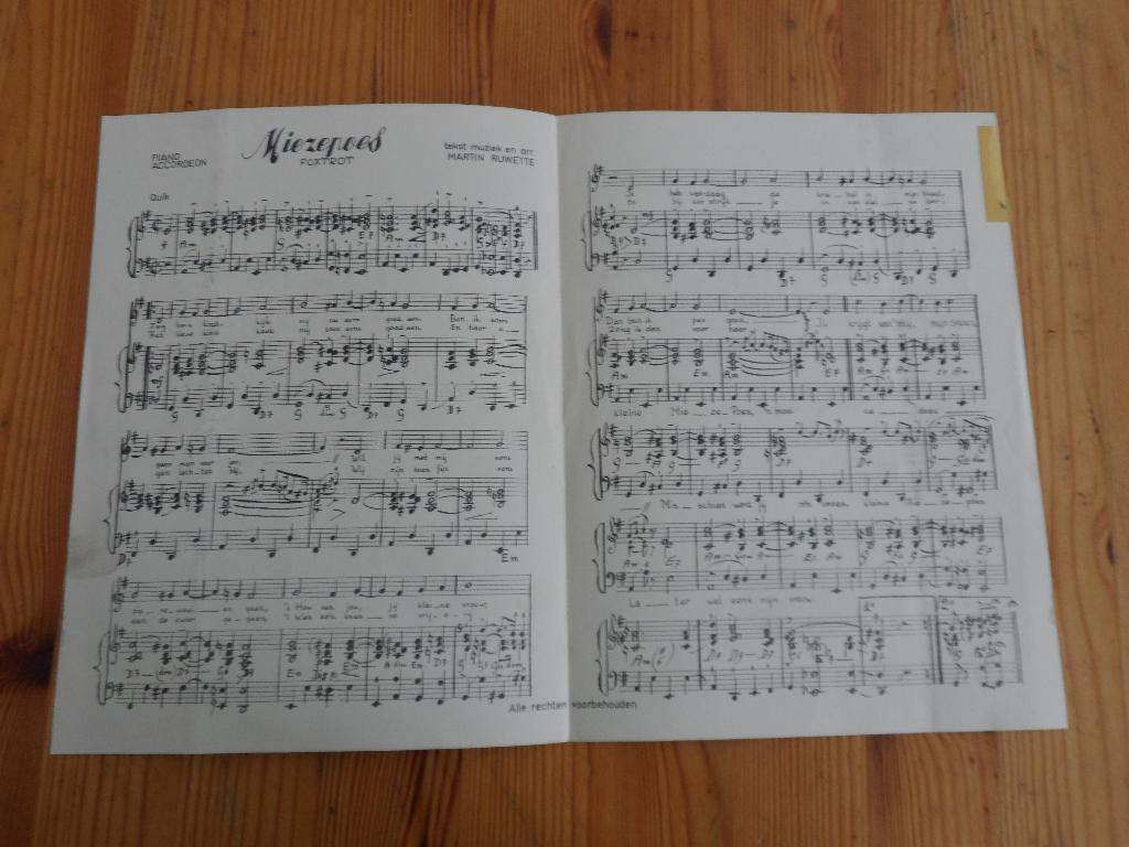 Miezepoes - martin ruwette, Gebruikt, Gitaar, Ophalen of Verzenden, Artiest of Componist