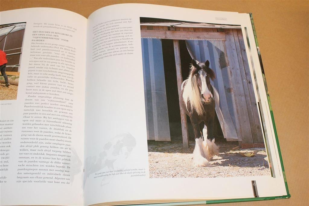 Tinkers — Het Ierse paardenras in beeld [Fotoboek], Ophalen of Verzenden, Zo goed als nieuw, Paarden of Pony's